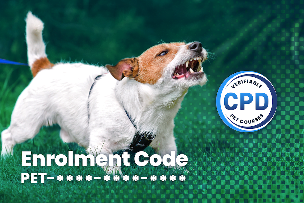 Higher Certificate in Canine Reactivity