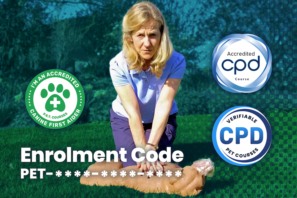 Higher Certificate in Canine First Aid