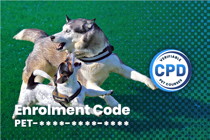 Managing Safe Interactions Between Dogs Webinar
