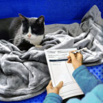 Diploma in Companion Animal Behaviour Counselling (Feline) + Mentorship